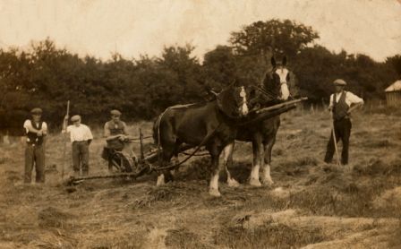 Photographic Restoration 1